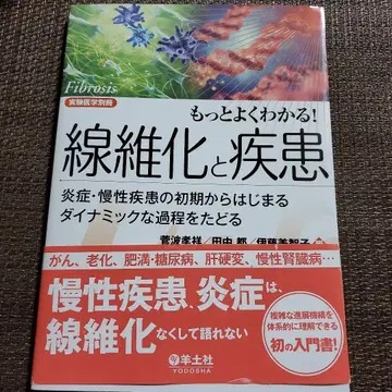 더 잘 알자! 섬유증과 질병
