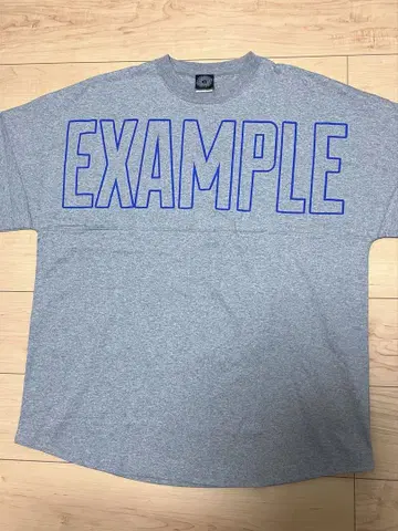 example 에그잠플 빅 프린트 T셔츠 그레이