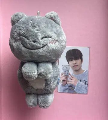 treasure funny 정우 트레카세트