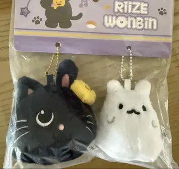 RIIZE 원빈 상하이 팝업 한정판 봉제 인형 세트