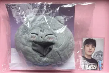 treasure 서울 콘 응원봉 커버 funny 정우
