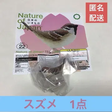 일본의 생물 03 Nature of Japan 참새 1점