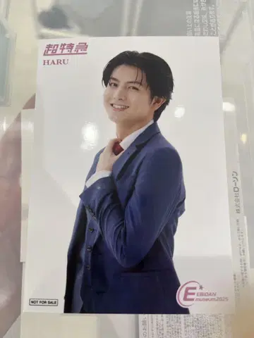 초특급 하루 EBiDAN museum 입장 혜택 브로마이드