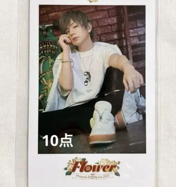 우라시마사카타센 우라타누키 Flower 폴라로이드풍 카드