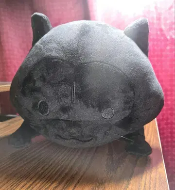 너구리 라스칼 빅 봉제 인형 블랙
