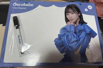 Yoko Shogenji One choice 화이트보드