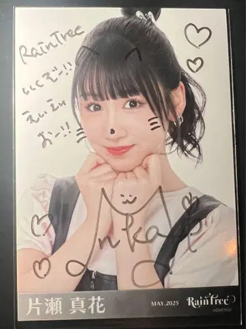 RainTree 카타세 마이카 가죽 코디 사인 포함 브로마이드