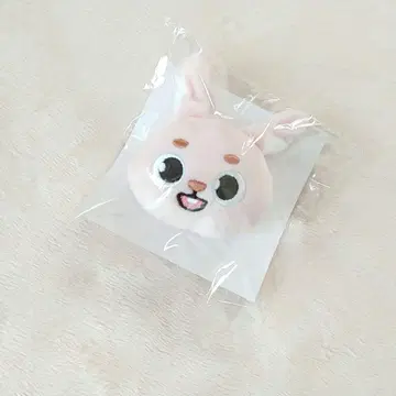 DAY6 원필 8