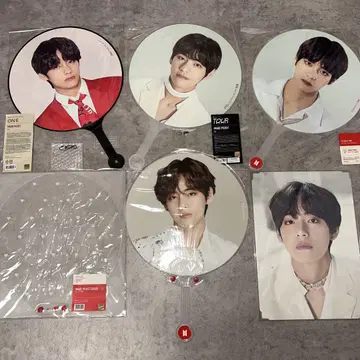 bts V 태현 부채 프리 포토