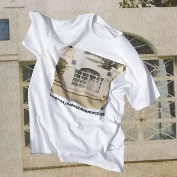 TANG TANG GASATANG 한정판 T셔츠 M 사이즈