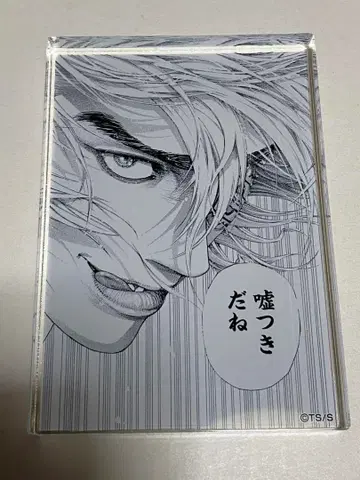 우스구이 팝업 아크릴 블록 아쿠브로 마다라메