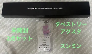 익명 배송 미사용 straykids 승민 아크릴 스탠드 태피스트리 2세트