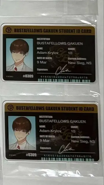 BUSTAFELLOWS 바스타페 학원 학생증 아크릴 카드 아담