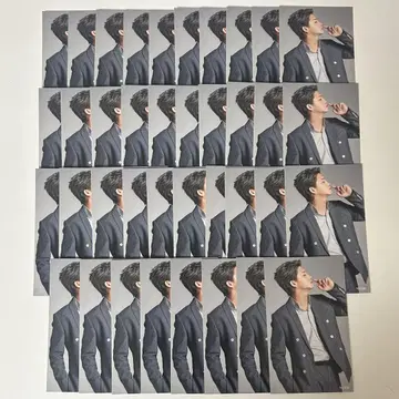 세구치 레야 panoramajet 묶음 판매