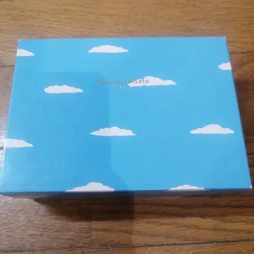 츠모리치사토 지갑