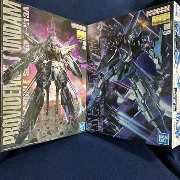 MG 1/100 RGZ-95 리젤 MG 1/100 프로비던스 건담