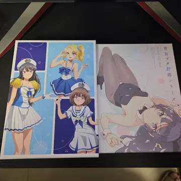 청춘 돼지가 날뛰는 시리즈 Blu-ray 세트