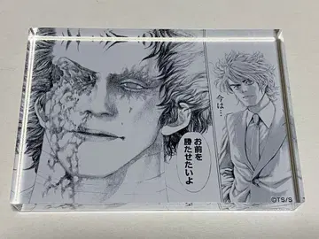 우소구이 팝업 아크릴 블록 아쿠부로 마다라메 캬라