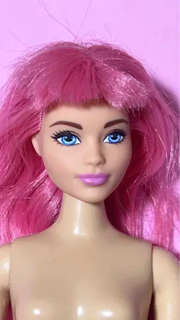 핑크색 머리카락의 곡선미 넘치는 바비 인형 본체
