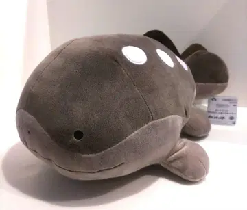 포켓몬 도오 메챠모후굿토 봉제 인형 ~도오~ 전체 1종 BIG