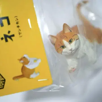 미개봉 소프트 비닐 토이 박스 고양이 먼치킨 브라운 마츠무라 시노부