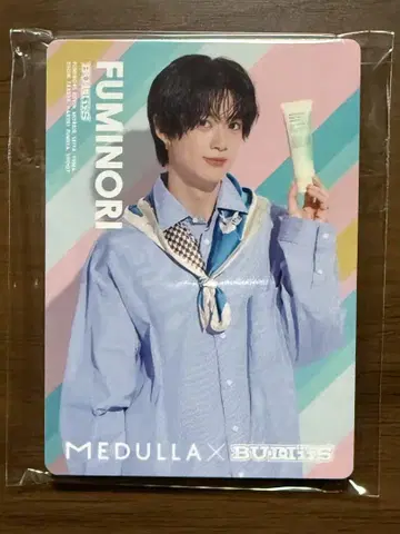 BUDDiiS MEDULLA 헤어 카르테 카드 전 10매 세트