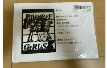 파워퍼프걸Z 설정 자료 152장