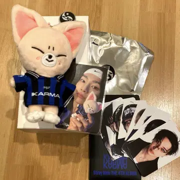 스키즈 straykids KARMA skzoover. 폭시니 아이엔