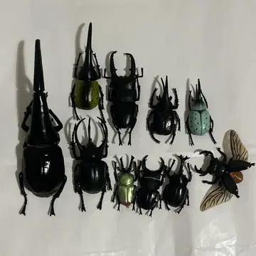 장수풍뎅이 사슴벌레 곤충 세트 헤라클레스 장수풍뎅이 피규어