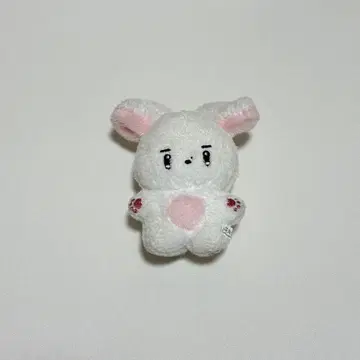 THEBOYZ 영훈 봉제 인형