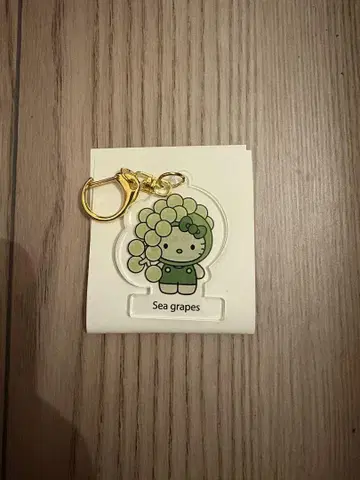 해조 키티 일본관 아크릴 키링 덩굴