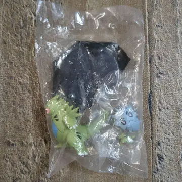 입체 포켓몬 도감 요기라스 & 사나 *기라스 & 반기라스