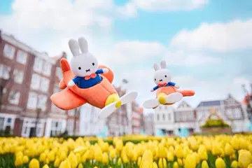 봉제 인형 마스코트 키링 세트 비행기 미피 하우스텐보스