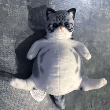 통통 만마루쨩 고양이
