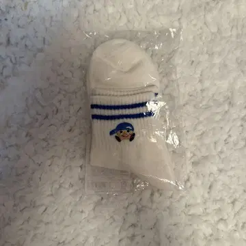 간사이 칠색 남자 대축제 굿즈 양말 후지이 류세이