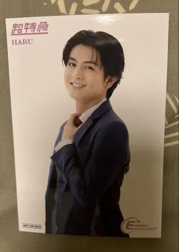 초특급 하루 입장 혜택 브로마이드 EBiDAN museum