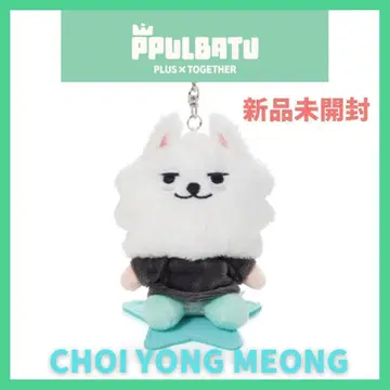 [ TXT PPULBATU ] 수빈*연준* 봉제 인형 키링