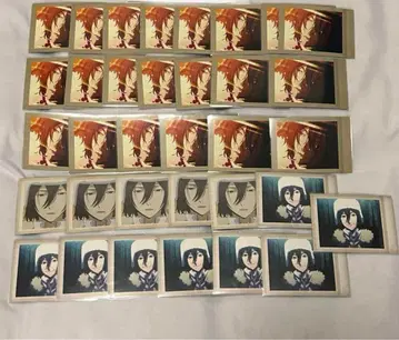문호 스트레이독스 문스토 효도르 파샤코레