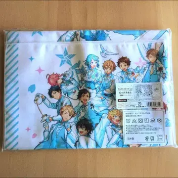 앙스타 4th Anniversary 팬 감사제 빅타월
