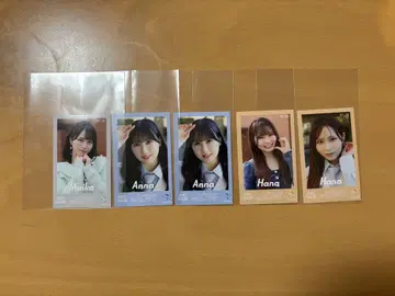 이코럽 미니 포토 카드