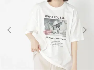 스튜디오 클립 그렘린 T셔츠 L 사이즈