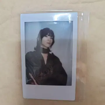 오카다 유키 폴라로이드