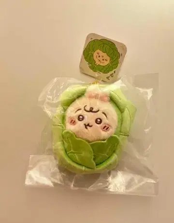 양배추 모양 인형 마스코트