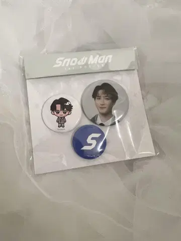 Snow Man 와타나베 쇼타 사진 세트 AB, 캔뱃지