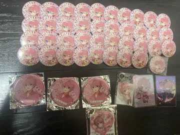 스토푸리 사토미군 캔뱃지 카드 키링