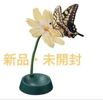 생물대도감 어드밴스 호랑나비 [ 호랑나비 ]