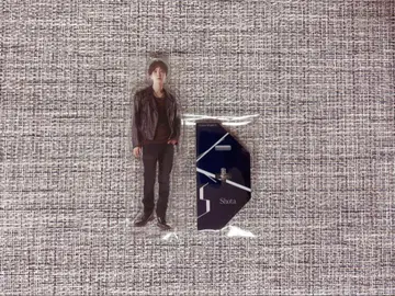 와타나베 쇼타 드림보이즈 아크릴 스탠드 DREAM BOYS 2024