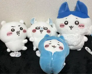 치이카와 세트
