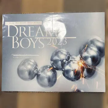 DREAM BOYS 2023 팜플렛 클리어 파일