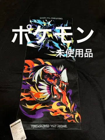 포켓몬 타월 TREASURED WAY HOME. 미사용품.